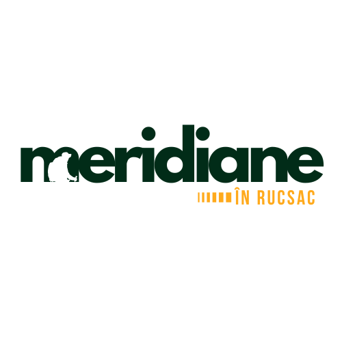 Servicii Creare Logo Design-meridiane