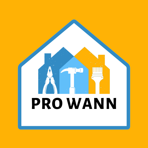 Servicii Creare Logo Design-prowann